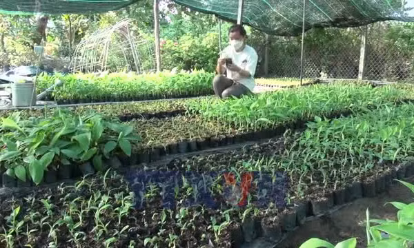 Việt Nam sẽ thí điểm chính sách 'doanh nghiệp một người'