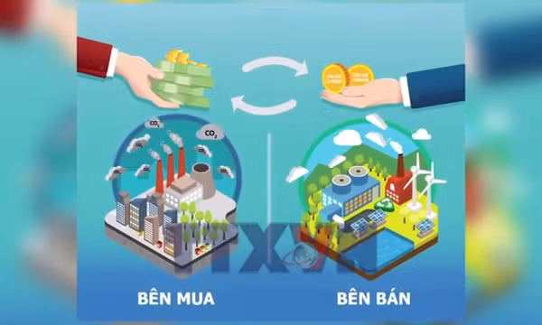 Thị trường carbon Việt Nam bước vào giai đoạn vận hành thử