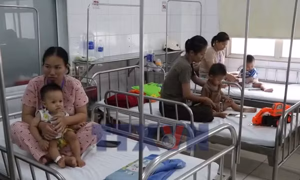 Bệnh tay chân miệng gia tăng nhanh ở Huế