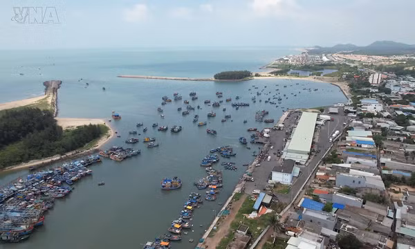 Học Bác mỗi ngày: Từ 'Biển bạc của ta' đến quốc gia mạnh về biển