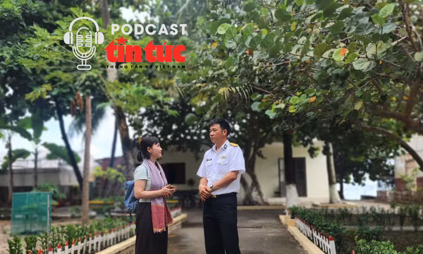 Mầm xanh từ đất liền, sức sống ở Trường Sa: Đảo công viên giữa trùng khơi 