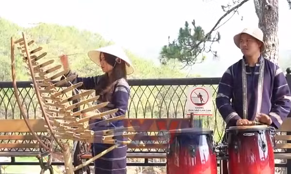 Chủ động chấp hành quy định về bản quyền âm nhạc ở Đà Lạt