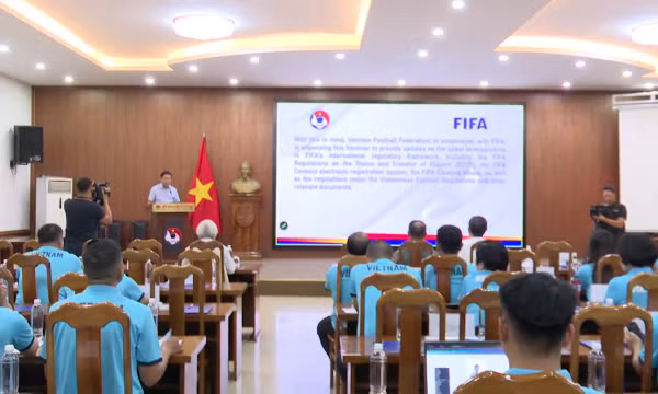 Bóng đá Việt Nam đẩy mạnh chuẩn hóa pháp lý theo tiêu chuẩn FIFA