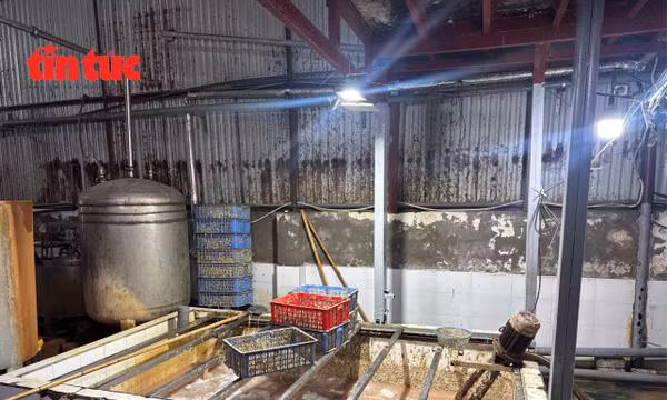 Lộ diện 'kho lạnh tử thần': 59 tấn lòng lợn bốc mùi chờ tuồn ra thị trường