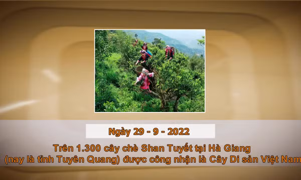 Khoảnh khắc & sự kiện ngày 29/9
