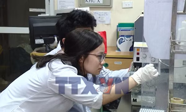 Việt Nam đặt mục tiêu có hướng nghiên cứu vào nhóm 5% thế giới