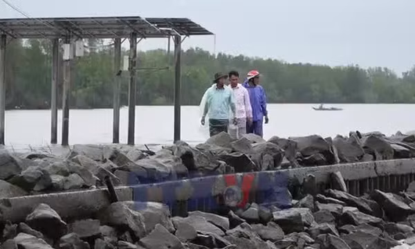 Tăng cường kiểm soát tuyến đê biển Tây trong mùa mưa bão