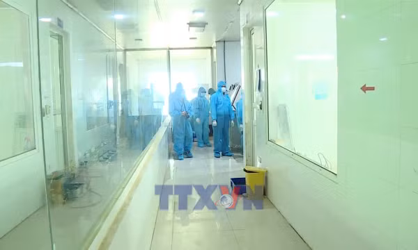 Công bố khả năng bảo hộ của vaccine dịch tả lợn châu Phi đối với virus biến chủng