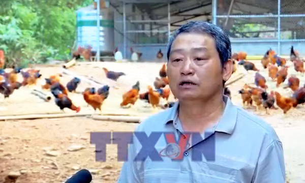 Từ nghề truyền thống đến sản phẩm hàng hóa