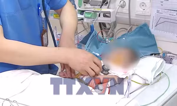 Nối nhịp sống cho những trái tim non