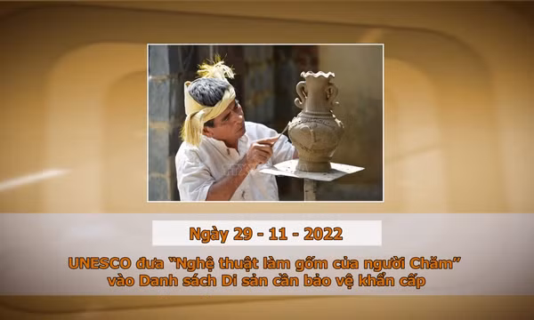 Khoảnh khắc & sự kiện ngày 29/11
