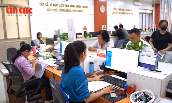 TP Hồ Chí Minh giữ nguồn nhân lực chất lượng cho chính quyền cơ sở