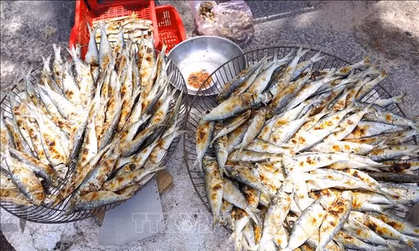 Độc đáo nghề bán cá trích nướng của phụ nữ ven biển Quảng Trị