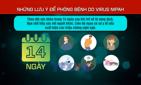 Những lưu ý để phòng bệnh do virus Nipah
