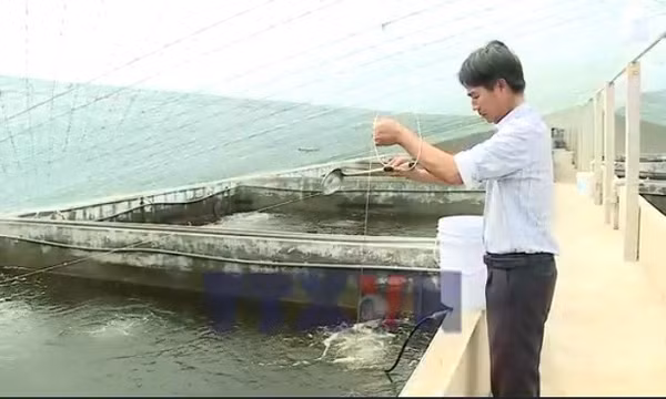 Ninh Bình ứng dụng công nghệ cao trong nuôi trồng thủy sản
