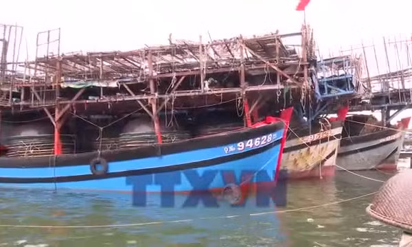 Đà Nẵng: Tổ bảo vệ chủ quyền an ninh trên biển quyết tâm gỡ bỏ thẻ vàng IUU