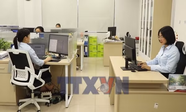 Hải Phòng hoàn thuế thu nhập cá nhân tự động