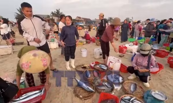 Đà Nẵng: Nhịp sống ngày mới ở chợ cá Tam Tiến