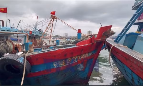 Hoàn thành đầy đủ khuyến nghị của châu Âu về chống khai thác IUU