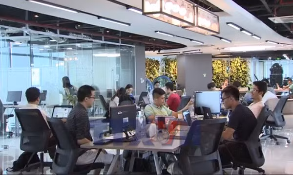 'Doanh nghiệp một người' cú hích từ cải cách đến đổi mới sáng tạo