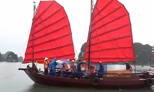 Trải nghiệm đi thuyền buồm ba vách trên vịnh Hạ Long