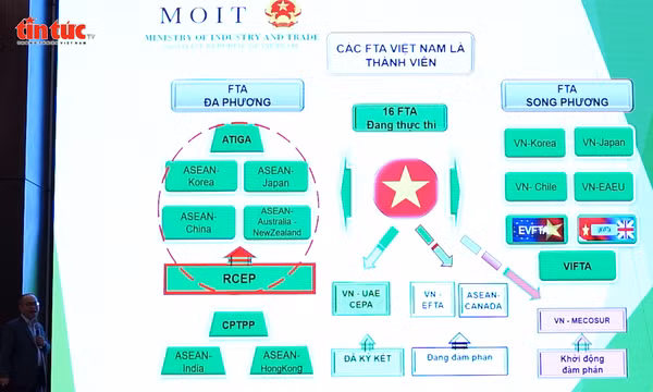 'Quy tắc xuất xứ' – 'hộ chiếu' giúp hàng Việt vươn xa toàn cầu