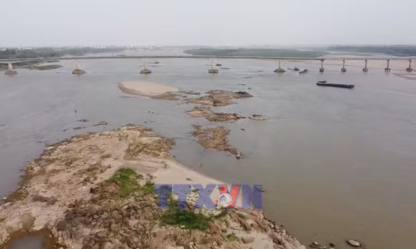 Nước sông Hồng cạn, tàu thuyền di chuyển khó khăn