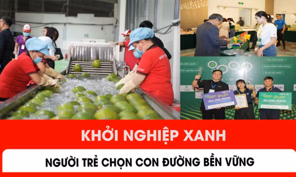 Khởi nghiệp xanh: Người trẻ chọn con đường bền vững