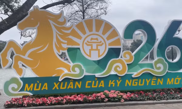 Những không gian tràn ngập hình ảnh ngựa trong năm mới
