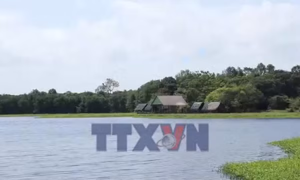 Đánh thức tiềm năng du lịch trằm Trà Lộc