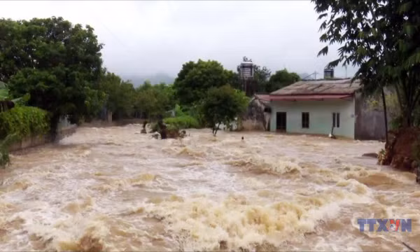 Tin lũ đặc biệt lớn trên sông Cầu, sông Thương