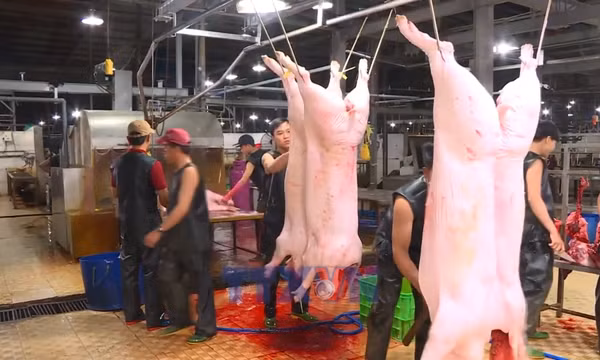 Tiêu điểm kinh tế tuần: Siết chặt kiểm soát an toàn thực phẩm