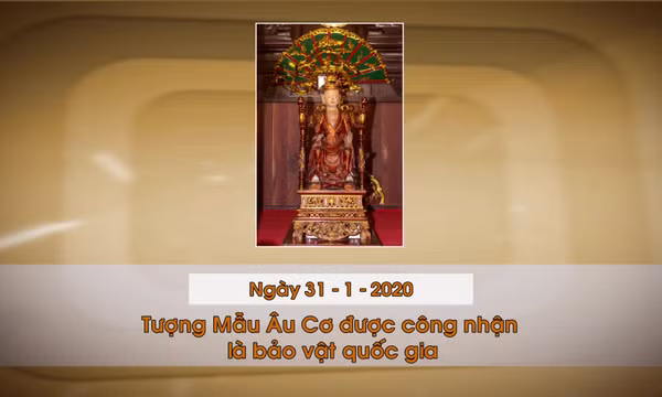 Khoảnh khắc & sự kiện ngày 31/1