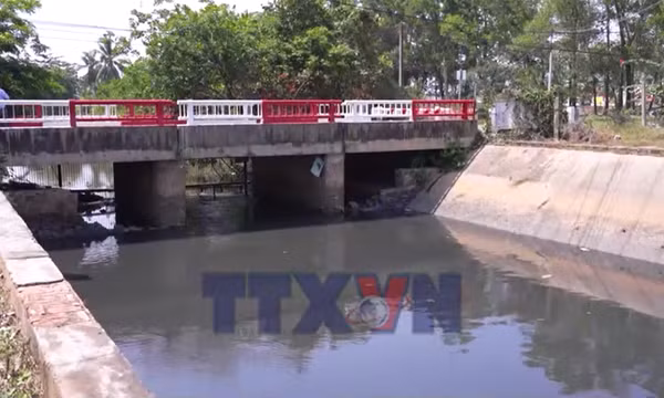 Sông Vàm Cỏ Đông bị ô nhiễm nghiêm trọng