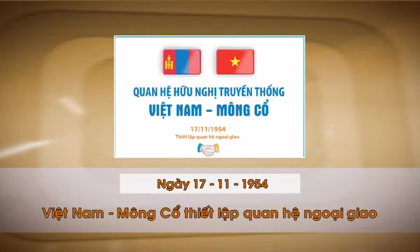Khoảnh khắc & sự kiện ngày 17/11