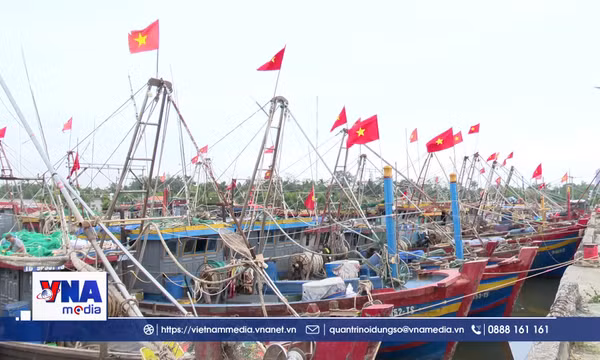 Cờ Tổ quốc đồng hành cùng ngư dân vươn khơi