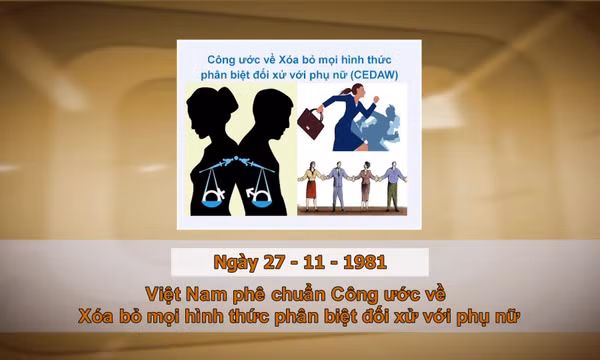 Khoảnh khắc & sự kiện ngày 27/11