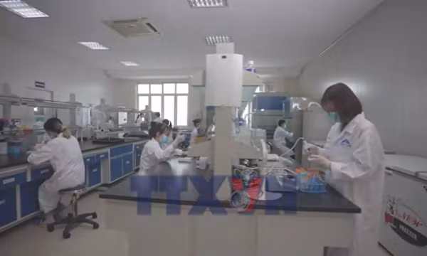 Vaccine made in Việt Nam lập thêm kỳ tích mới
