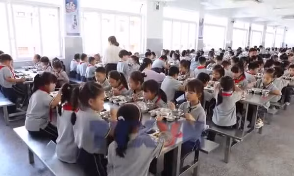 Các nước quản lý bữa ăn trường học ra sao?