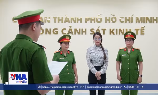 Góc nhìn pháp lý vụ diễn viên Trương Ngọc Ánh bị khởi tố