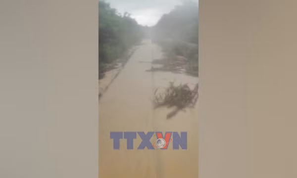 Rút ngắn hành trình nhiều chuyến tàu Bắc - Nam