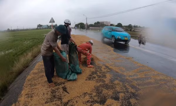 Vùng lũ Đắk Lắk không còn thóc giống cho mùa vụ mới