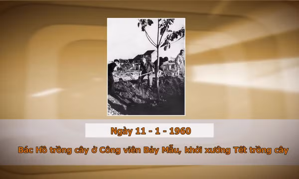 Khoảnh khắc & sự kiện ngày 11/1