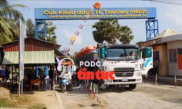 Tin nóng trong nước sáng 6/2/2026