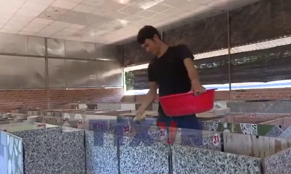 Điểm tựa từ nguồn vốn tái hòa nhập cộng đồng