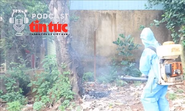 Bác sĩ ơi: Cảnh giác dịch sốt xuất huyết ngay từ đầu năm