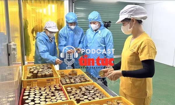 Đẩy mạnh nội dung chuyển đổi số trong sửa đổi Luật An toàn thực phẩm