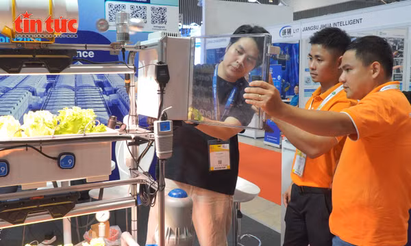 Chăn nuôi Việt Nam đổi mới công nghệ để hội nhập