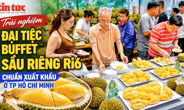 Trải nghiệm đại tiệc Buffet sầu riêng Ri6 chuẩn xuất khẩu ở TP Hồ Chí Minh