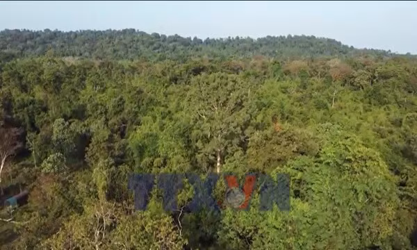 Net Zero: phân bổ hạn ngạch phát thải khí nhà kính cho 110 doanh nghiệp